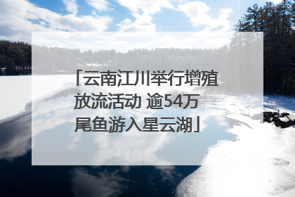 云南江川举行增殖放流活动 逾54万尾鱼游入星云湖