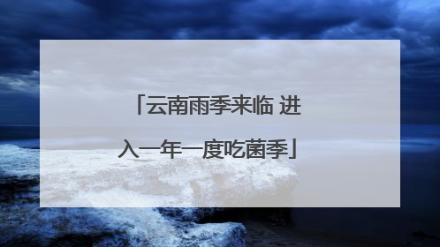 云南雨季来临 进入一年一度吃菌季