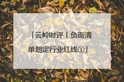 云岭时评丨负面清单划定行业红线③