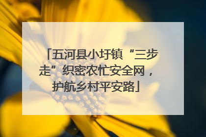 五河县小圩镇“三步走”织密农忙安全网，护航乡村平安路