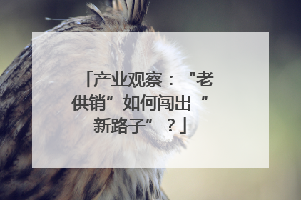 产业观察：“老供销”如何闯出“新路子”？