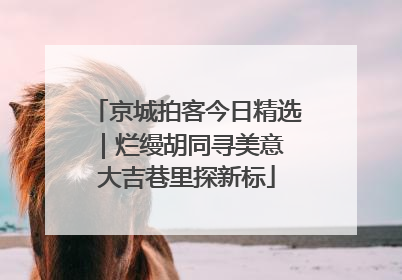 京城拍客今日精选｜烂缦胡同寻美意 大吉巷里探新标