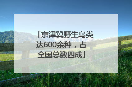 京津冀野生鸟类达600余种，占全国总数四成