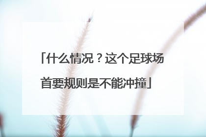 什么情况？这个足球场首要规则是不能冲撞