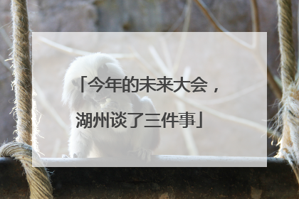 今年的未来大会，湖州谈了三件事