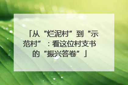 从“烂泥村”到“示范村”：看这位村支书的“振兴答卷”