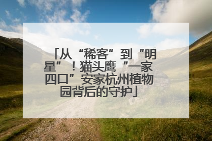 从“稀客”到“明星”！猫头鹰“一家四口”安家杭州植物园背后的守护