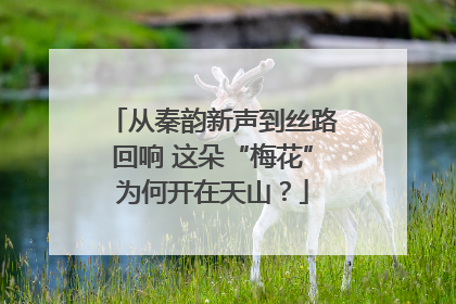 从秦韵新声到丝路回响 这朵“梅花”为何开在天山？