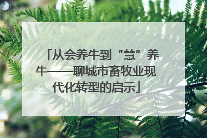 从会养牛到“慧”养牛——聊城市畜牧业现代化转型的启示