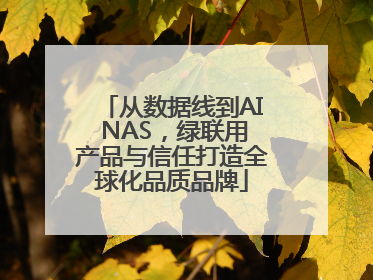 从数据线到AI NAS，绿联用产品与信任打造全球化品质品牌