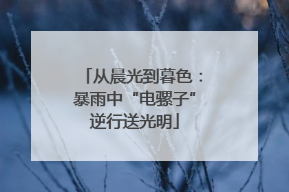 从晨光到暮色：暴雨中“电骡子”逆行送光明