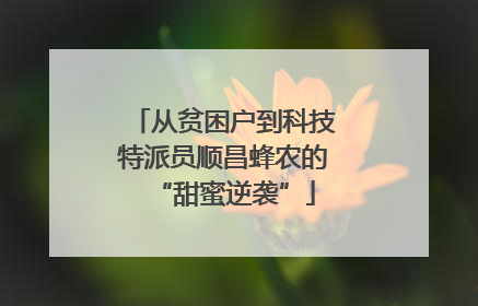 从贫困户到科技特派员顺昌蜂农的“甜蜜逆袭”
