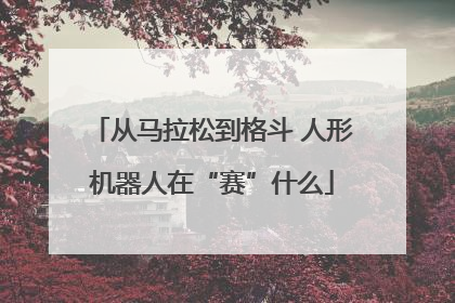 从马拉松到格斗 人形机器人在“赛”什么