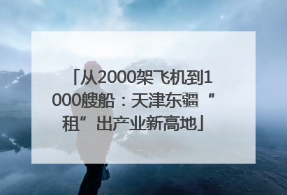 从2000架飞机到1000艘船：天津东疆“租”出产业新高地