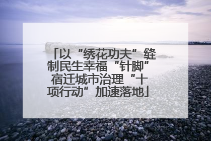 以“绣花功夫”缝制民生幸福“针脚” 宿迁城市治理“十项行动”加速落地
