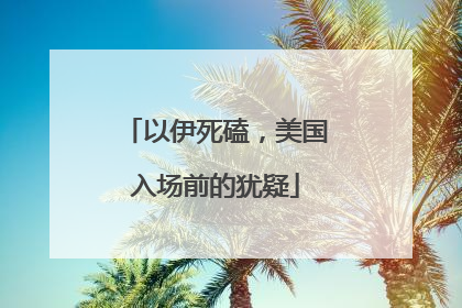 以伊死磕，美国入场前的犹疑