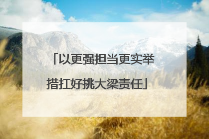 以更强担当更实举措扛好挑大梁责任