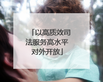 以高质效司法服务高水平对外开放