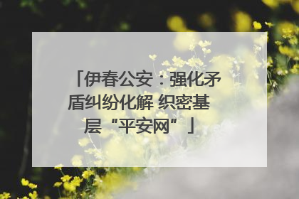 伊春公安：强化矛盾纠纷化解 织密基层“平安网”