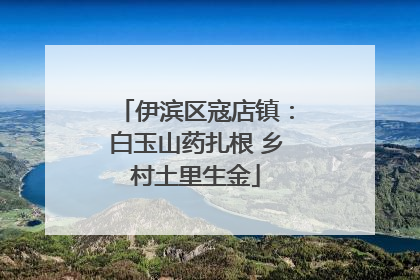 伊滨区寇店镇：白玉山药扎根 乡村土里生金