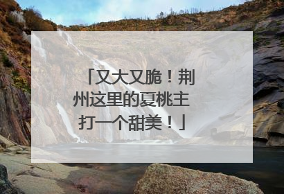 又大又脆！荆州这里的夏桃主打一个甜美！
