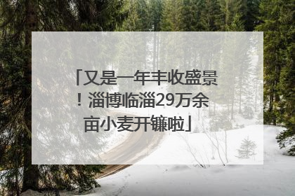 又是一年丰收盛景！淄博临淄29万余亩小麦开镰啦