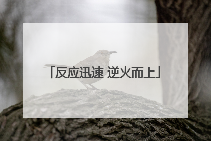 反应迅速 逆火而上
