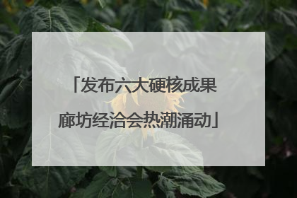 发布六大硬核成果 廊坊经洽会热潮涌动