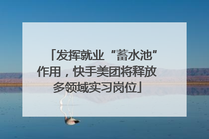 发挥就业“蓄水池”作用，快手美团将释放多领域实习岗位