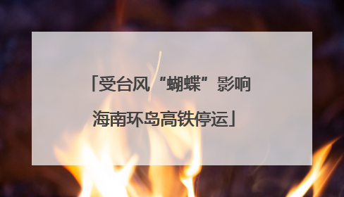受台风“蝴蝶”影响 海南环岛高铁停运