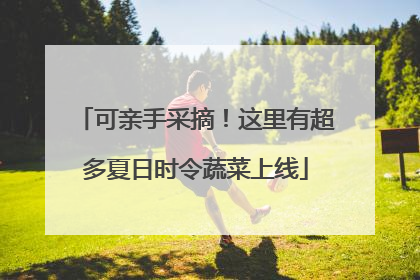 可亲手采摘！这里有超多夏日时令蔬菜上线