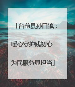 台前县孙口镇：暖心守护践初心 为民服务显担当