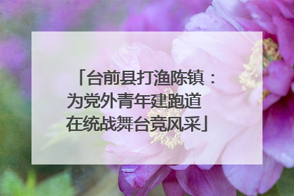 台前县打渔陈镇：为党外青年建跑道 在统战舞台竞风采
