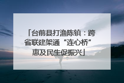 台前县打渔陈镇：跨省联建架通“连心桥” 惠及民生促振兴
