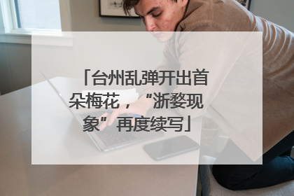 台州乱弹开出首朵梅花，“浙婺现象”再度续写
