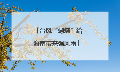 台风“蝴蝶”给海南带来强风雨