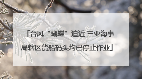 台风“蝴蝶”迫近 三亚海事局辖区货船码头均已停止作业