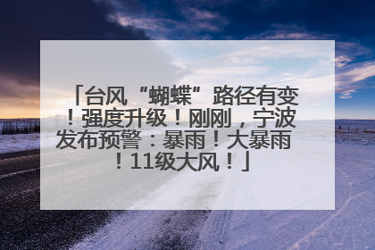 台风“蝴蝶”路径有变！强度升级！刚刚，宁波发布预警：暴雨！大暴雨！11级大风！