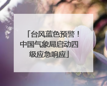 台风蓝色预警！中国气象局启动四级应急响应