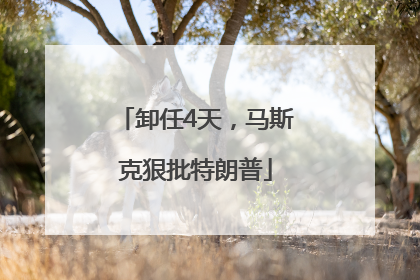 卸任4天，马斯克狠批特朗普
