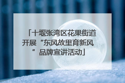 十堰张湾区花果街道开展“东风故里育新风”品牌宣讲活动