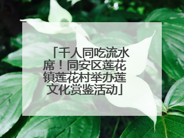 千人同吃流水席！同安区莲花镇莲花村举办莲文化赏鉴活动