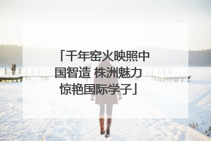 千年窑火映照中国智造 株洲魅力惊艳国际学子