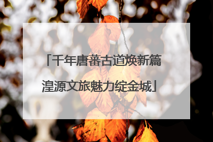 千年唐蕃古道焕新篇 湟源文旅魅力绽金城