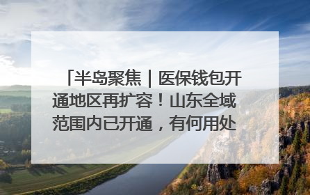 半岛聚焦｜医保钱包开通地区再扩容！山东全域范围内已开通，有何用处？如何操作？速戳→