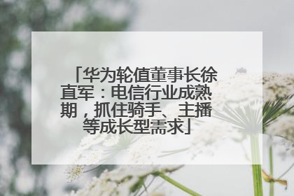 华为轮值董事长徐直军：电信行业成熟期，抓住骑手、主播等成长型需求