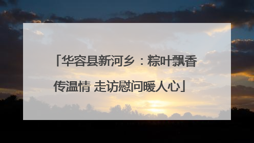 华容县新河乡：粽叶飘香传温情 走访慰问暖人心