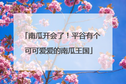 南瓜开会了！平谷有个可可爱爱的南瓜王国