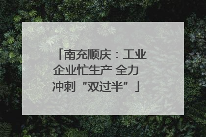 南充顺庆：工业企业忙生产 全力冲刺“双过半”