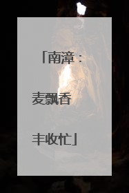 南漳：麦飘香 丰收忙